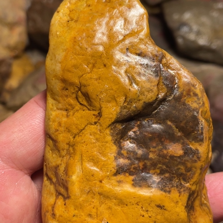 田黄石176克昌化田黄石