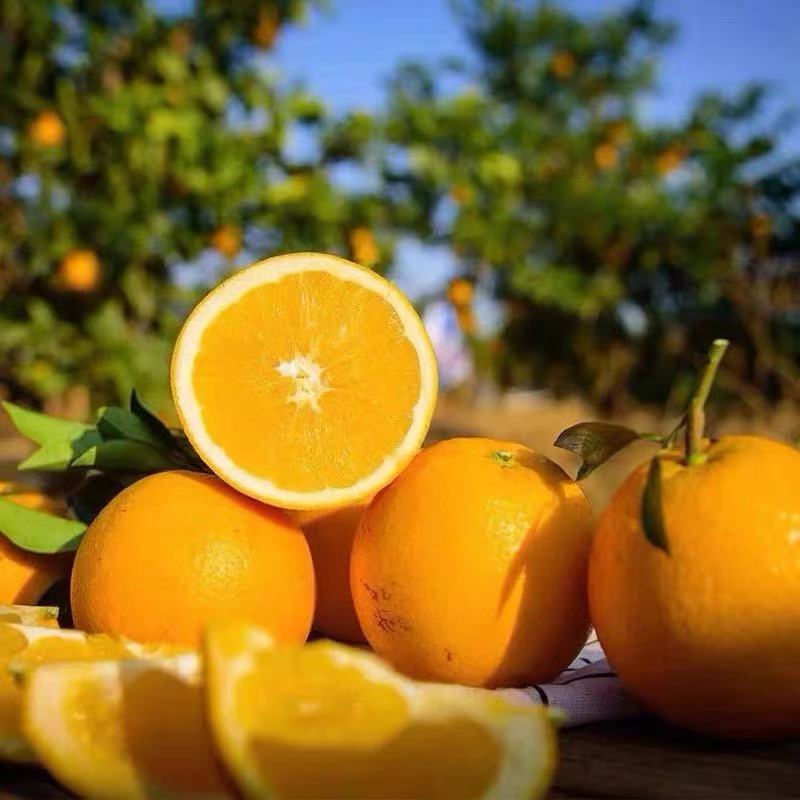 【京东次日达】2正宗江西赣州赣南脐橙榨汁新鲜水果斤产地直发当季整箱橙子现摘江西省
