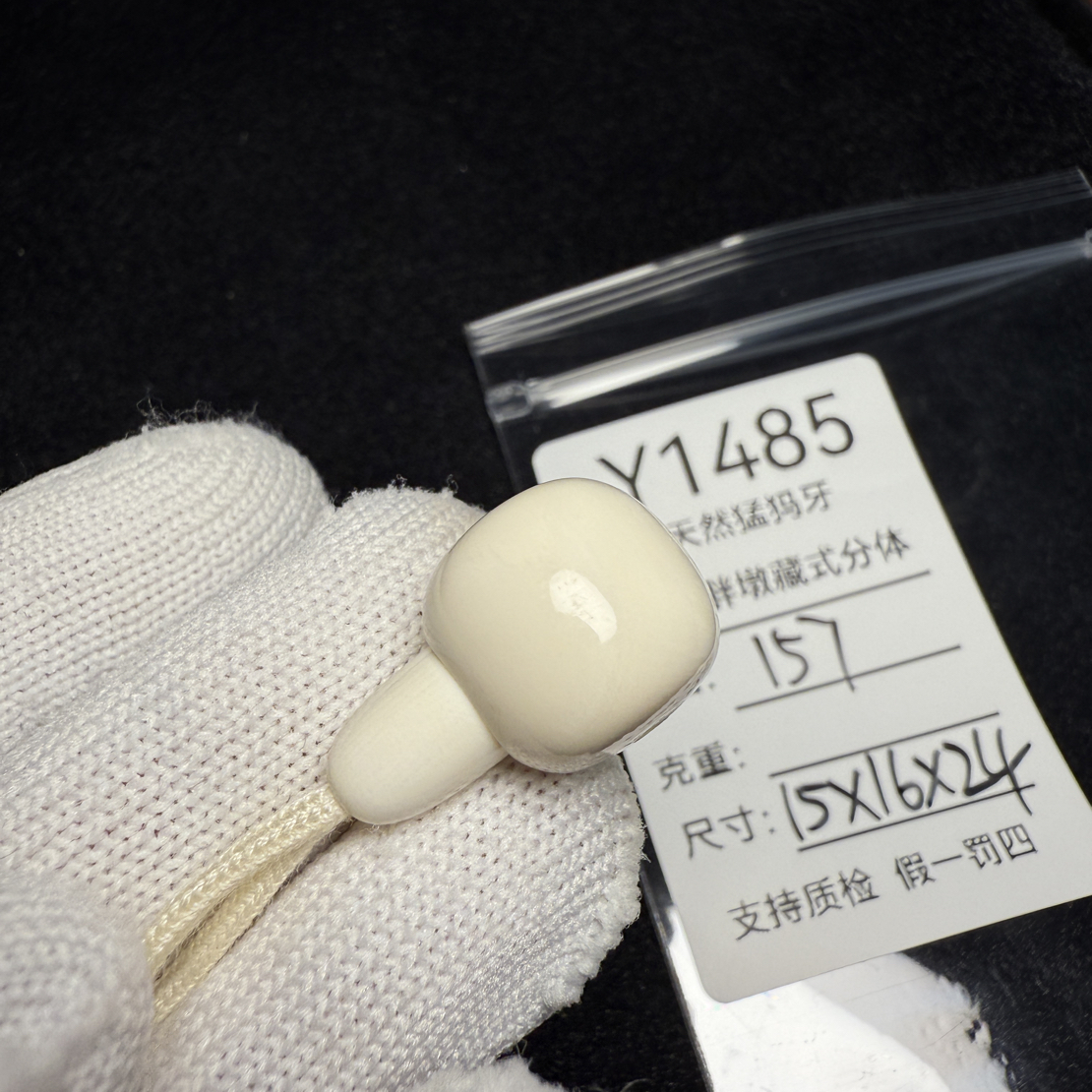 Y1485天然猛犸象牙藏式分体三通胖墩分体15*16*24冰料果冻料