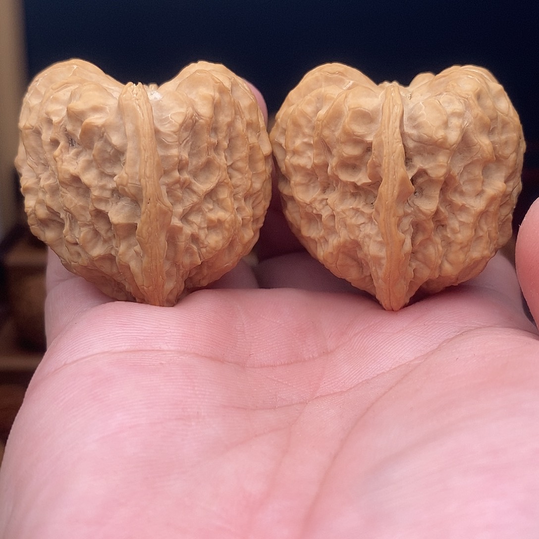 文玩核桃把件鱼*心不知名