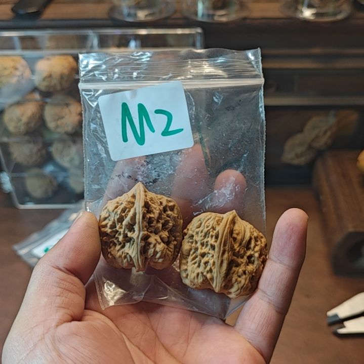 m2    38尺核桃啊啊啊啊啊啊