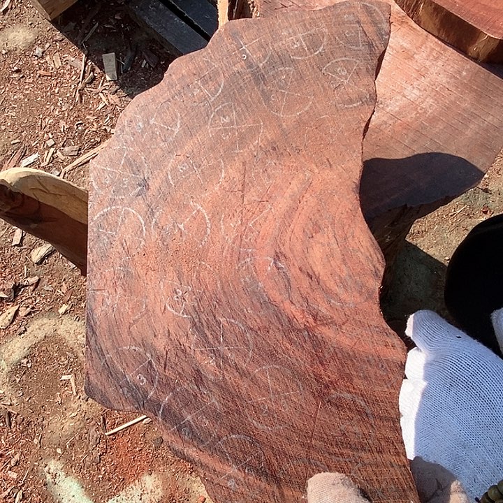 染料紫檀（血檀）595