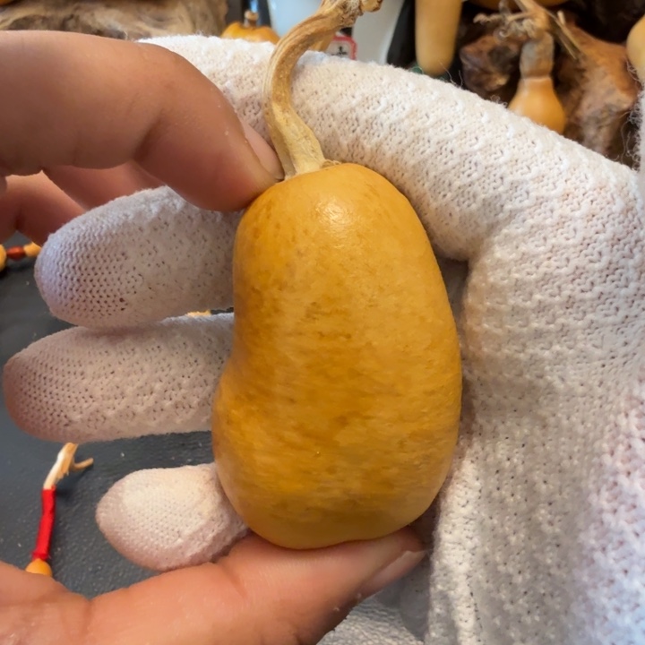 心***晴66………………………………………………