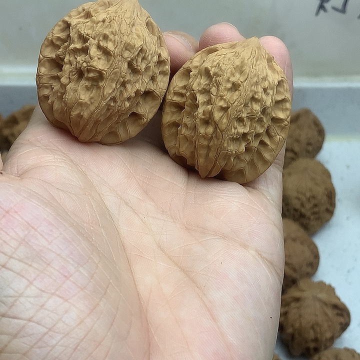 文玩核桃吊坠37 崔凯