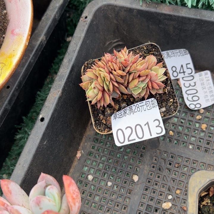 幸运的是我没有遇到过