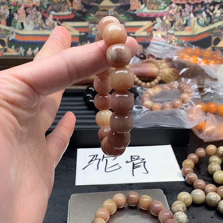 手串/手链驼骨手链项链