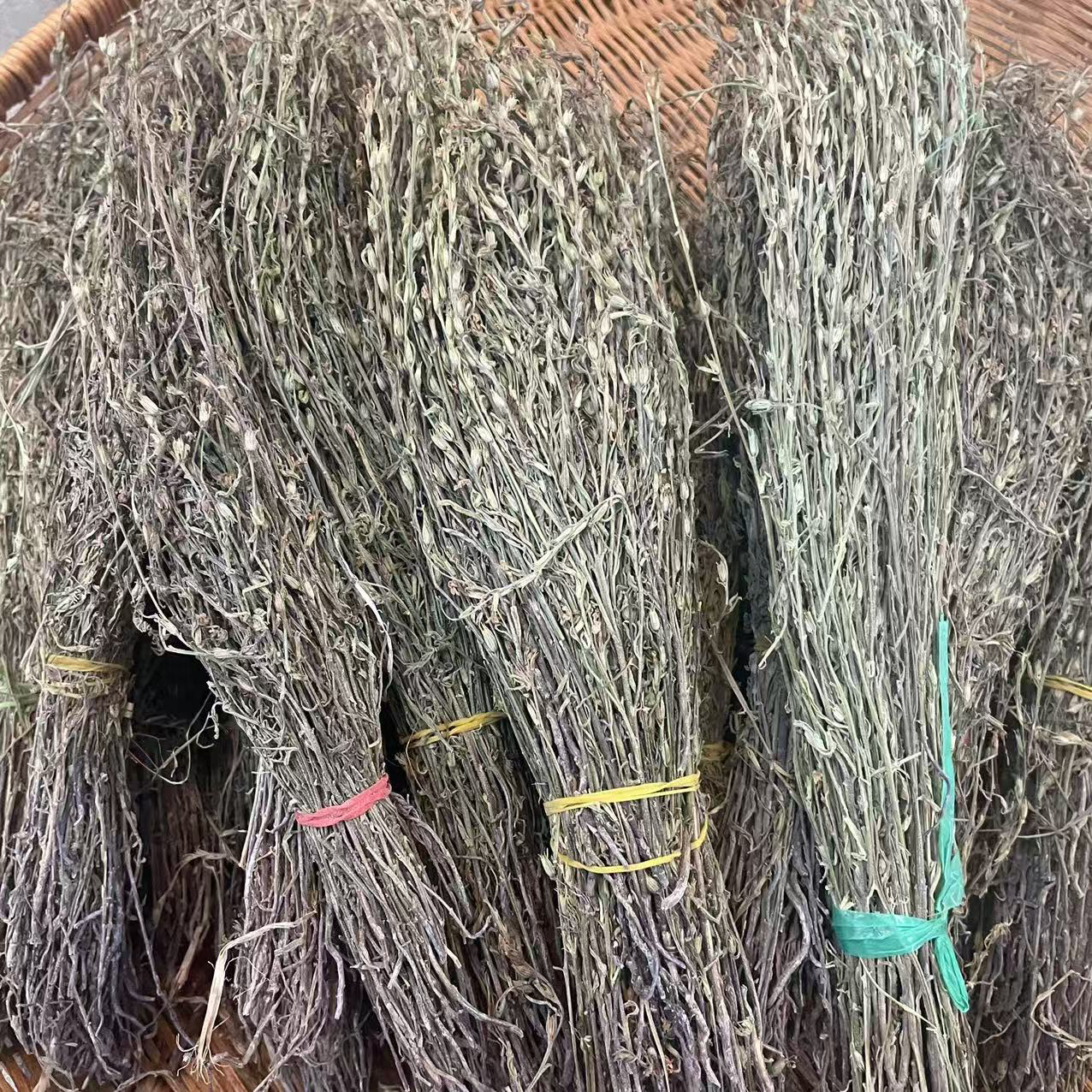 【大海干货店】独 角金