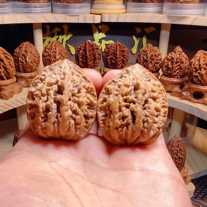 文玩核桃把件蚂蚁盾牌