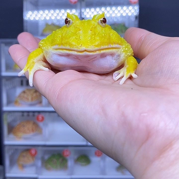 特价秒杀现货供应