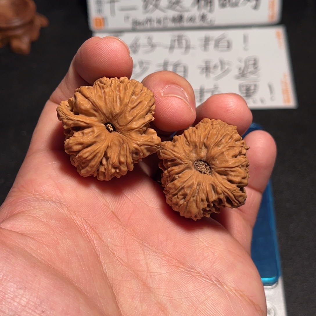 33全品蚂蚁拉丝凹底高炮南疆有黄