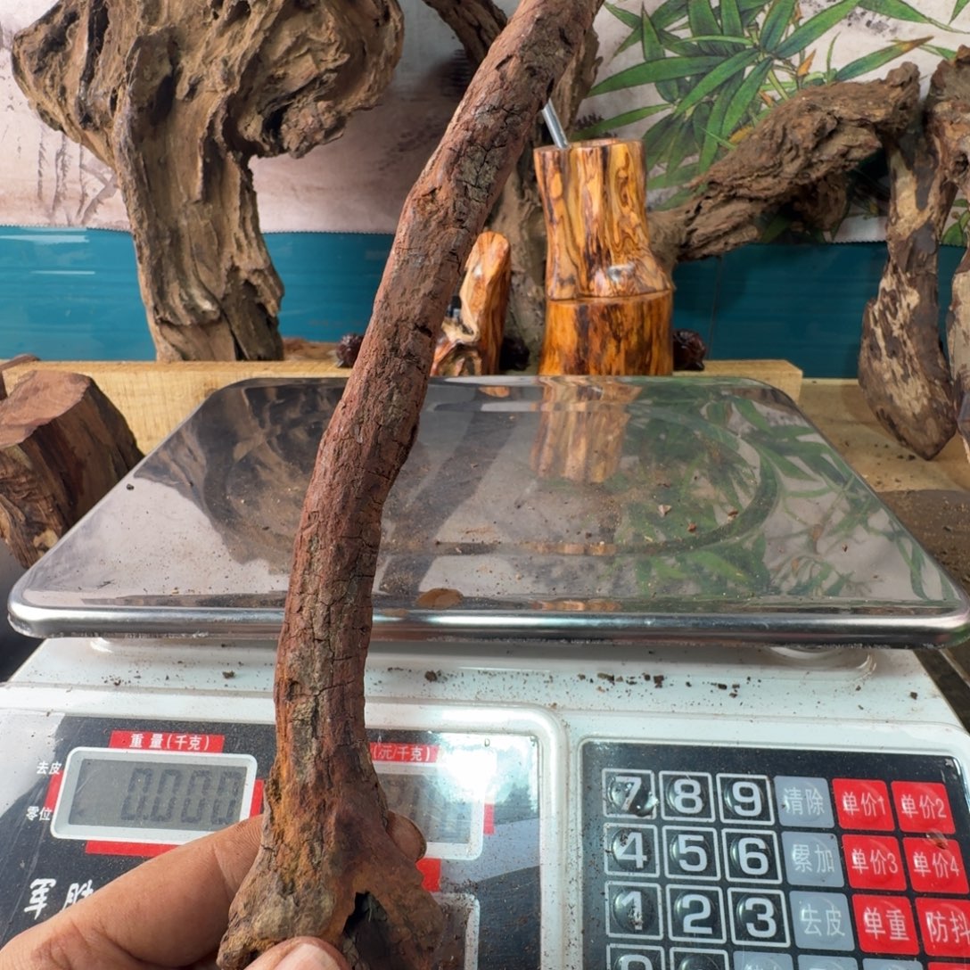 竹***。木我们不一样，每个人都有不同的境遇