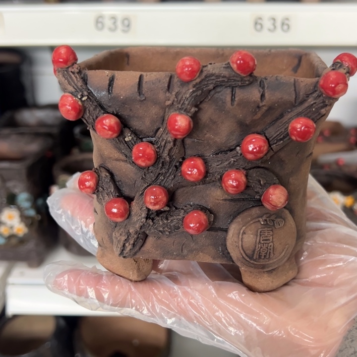 一***天特价多肉花盆百搭