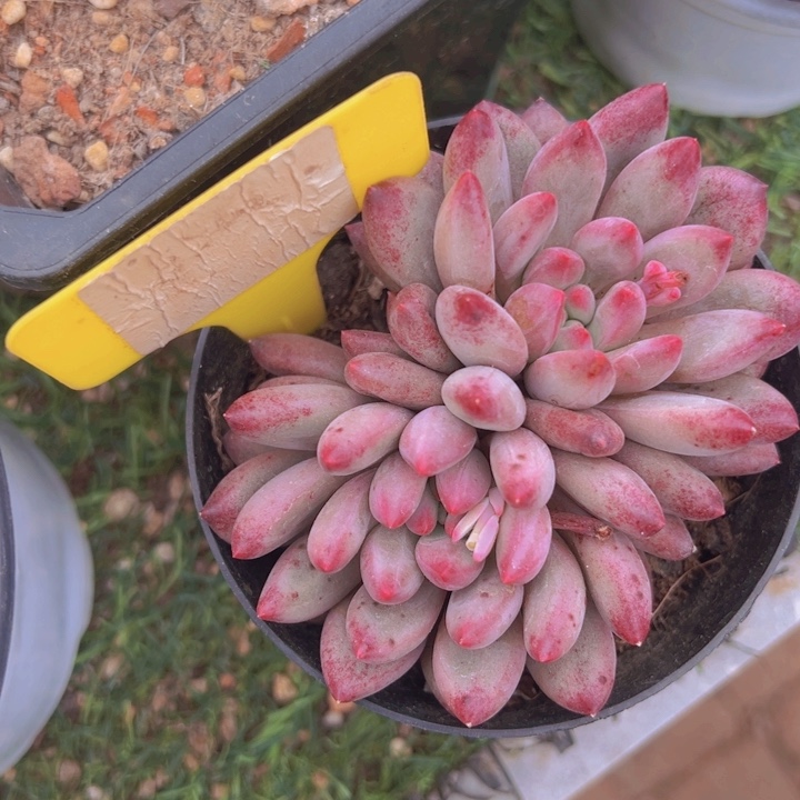 健健康康平平安安