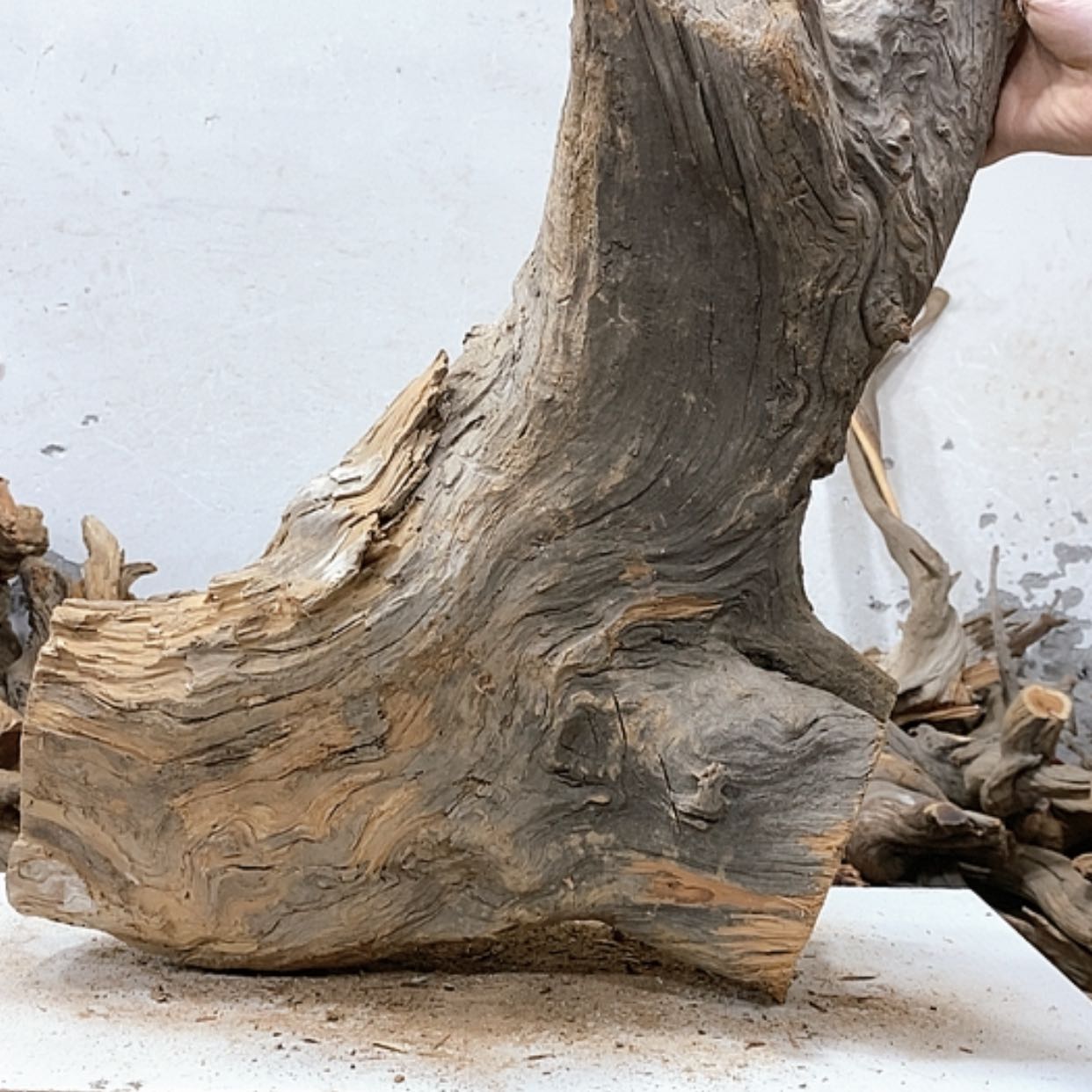 【闪购商品】柏木艺*阁我们都是好孩子