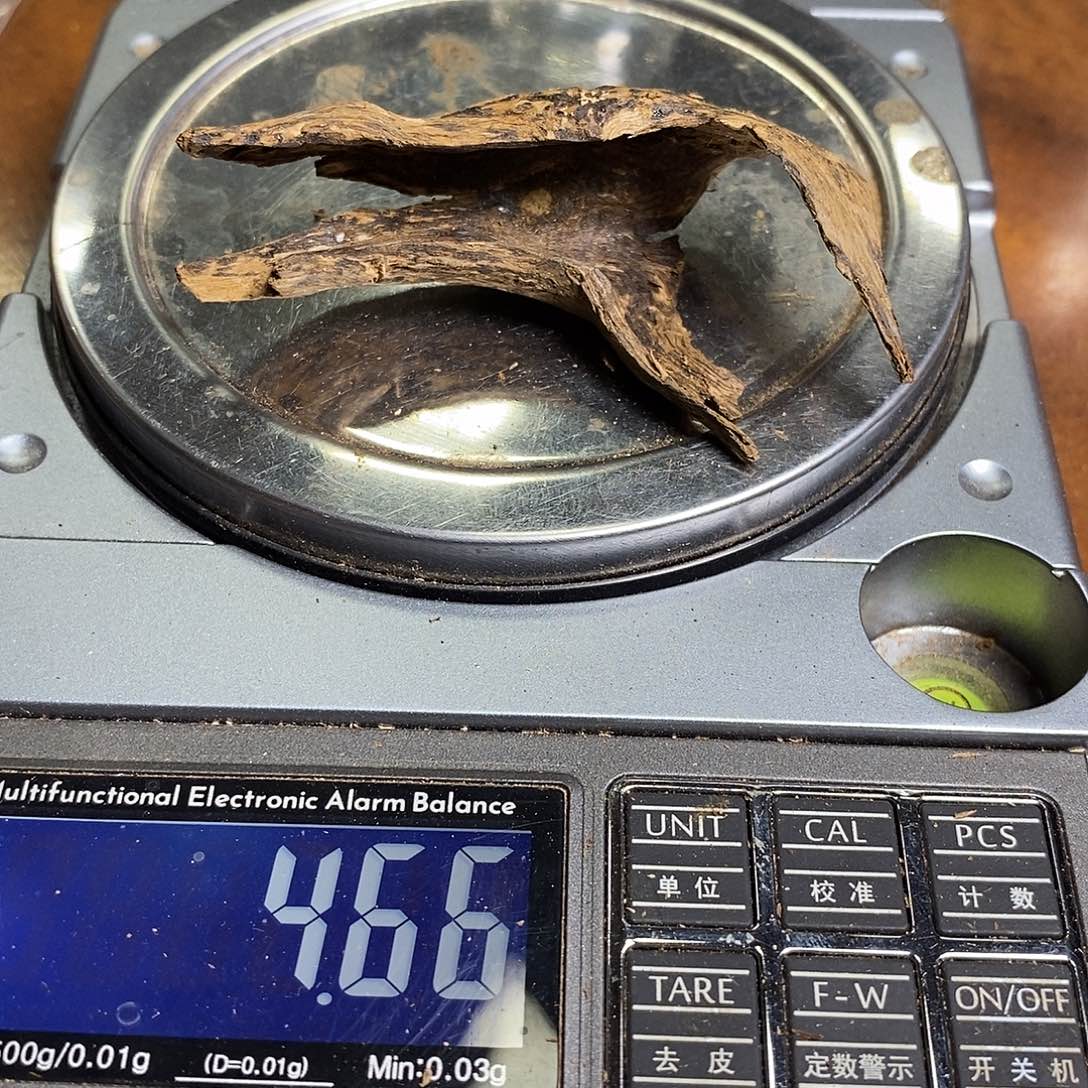 柬埔寨根部精品一块（福利122403