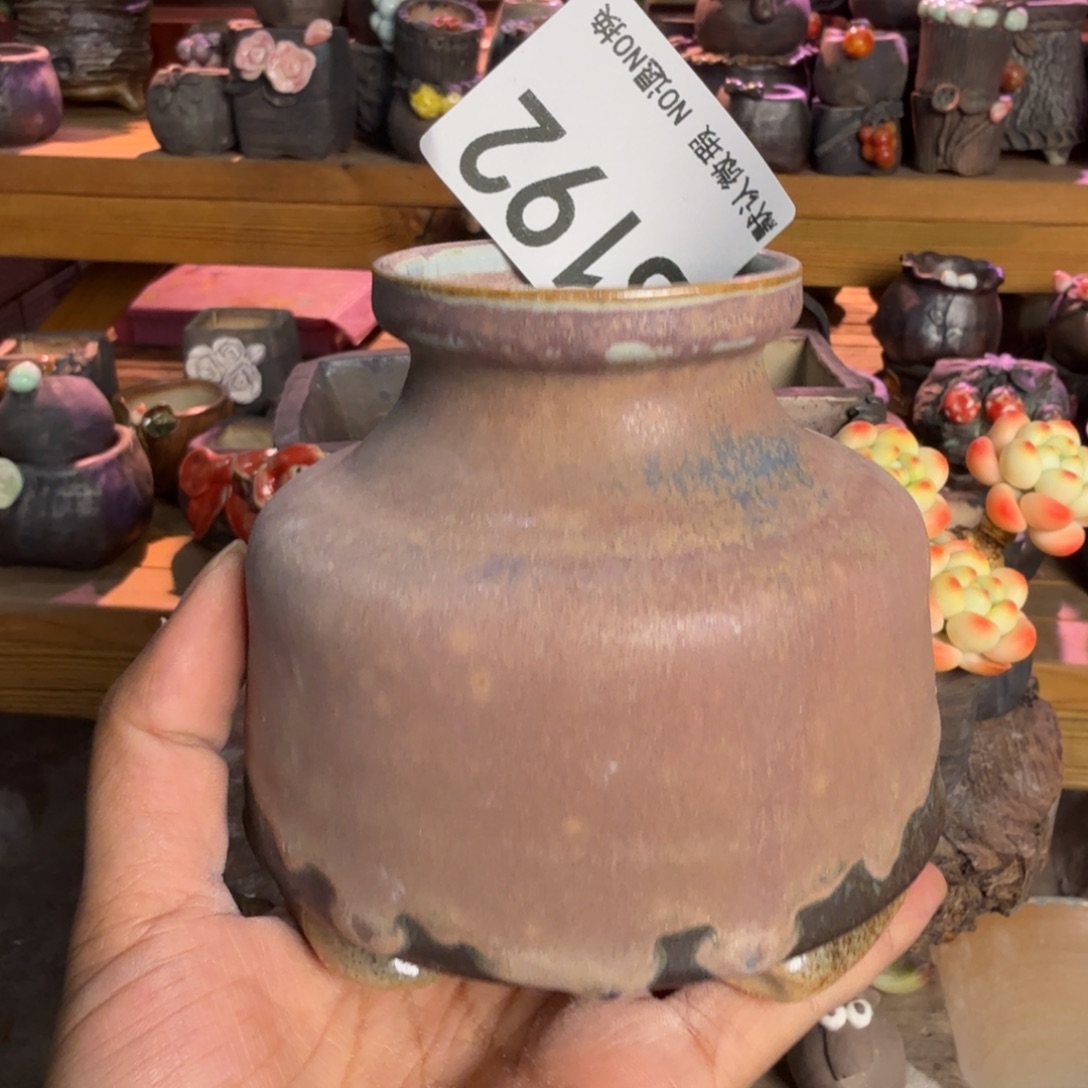重庆小燕子欢迎大家192