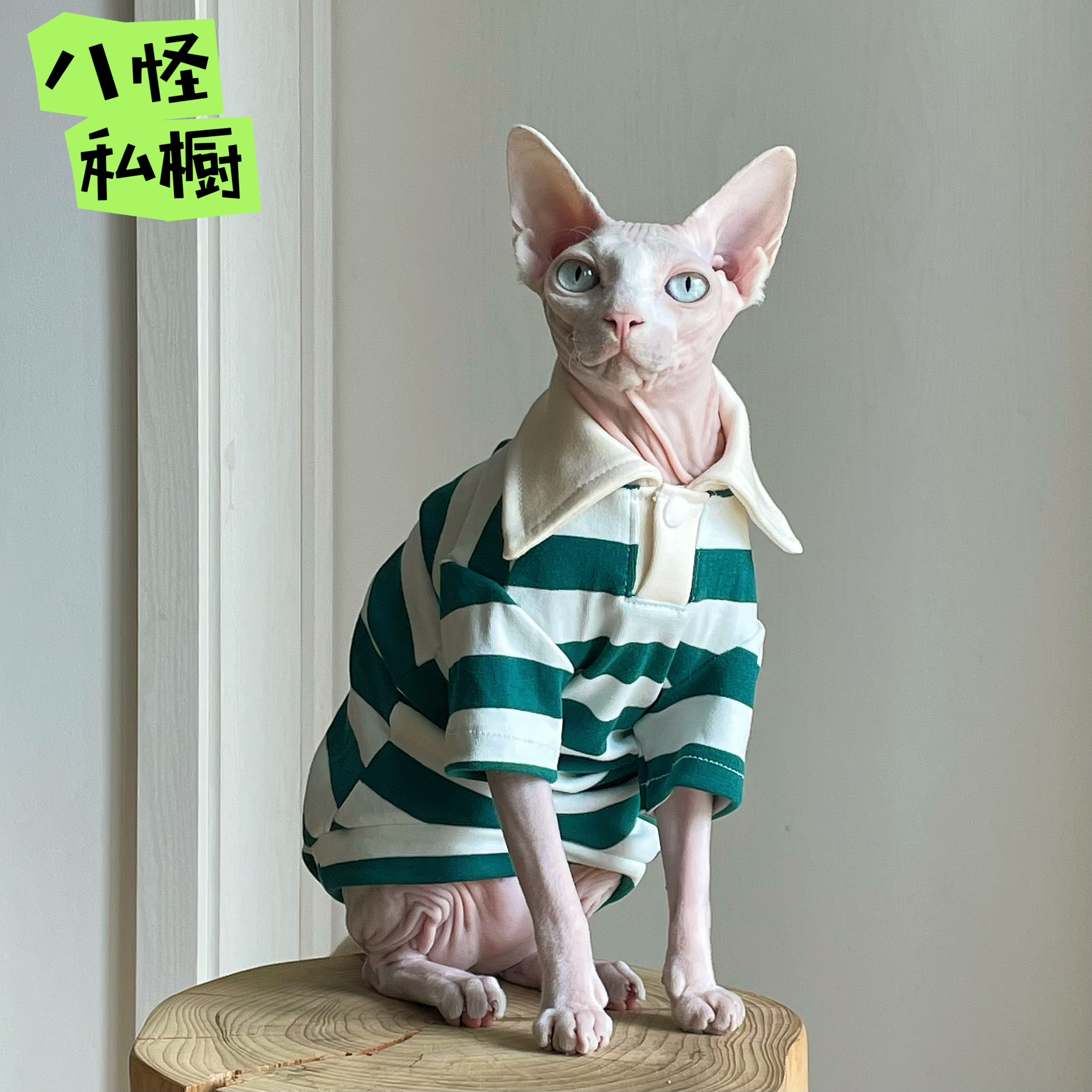 手工制作无毛猫德文猫纯棉高弹透气亲肤条纹Polo针织衫绿白
