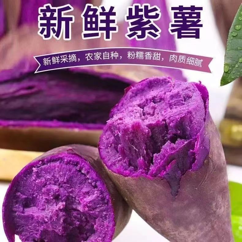 湖北紫罗兰紫薯沙地紫薯番薯香甜软糯低脂粗粮辅食