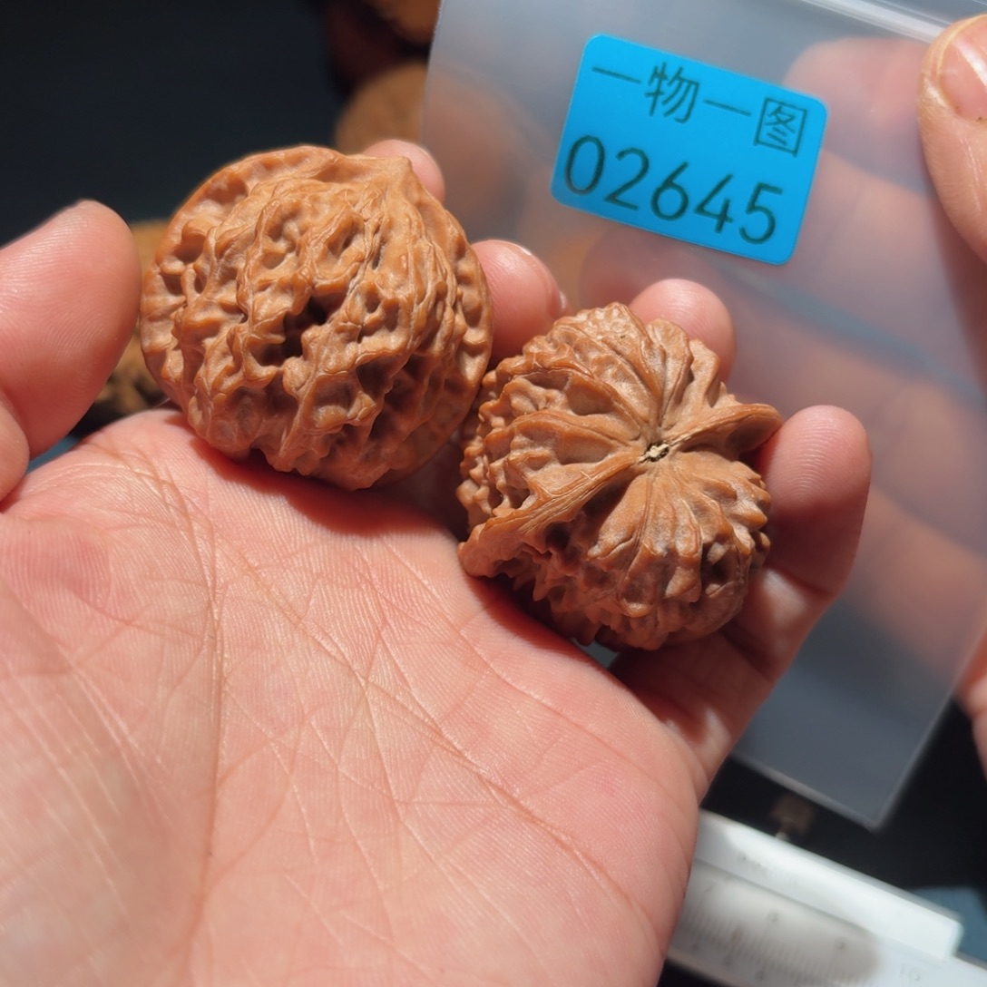 吊坠文玩核桃红珊瑚