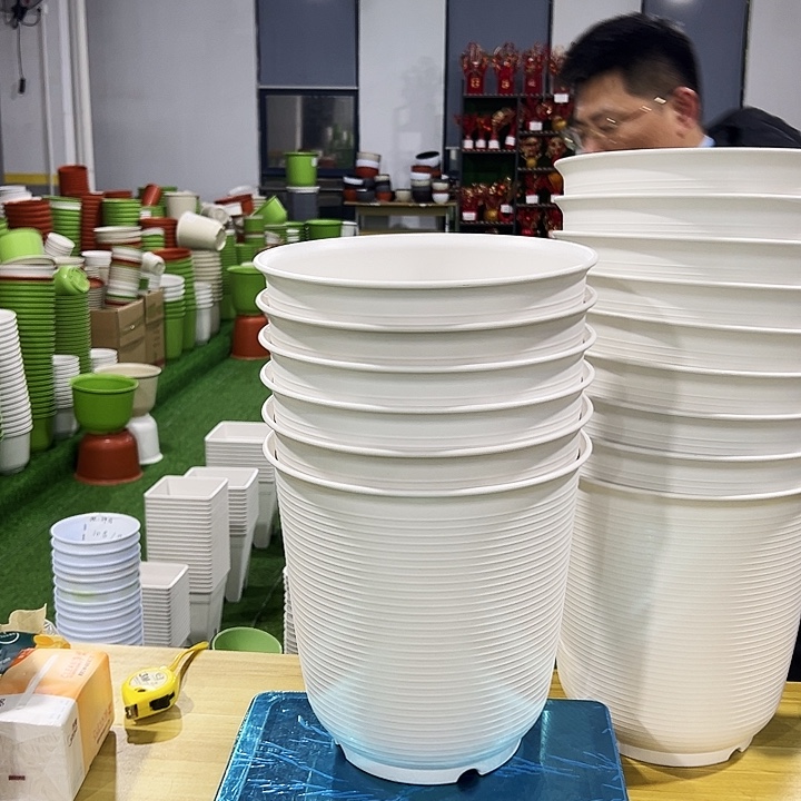 正品高陶口27高27白色4只无托