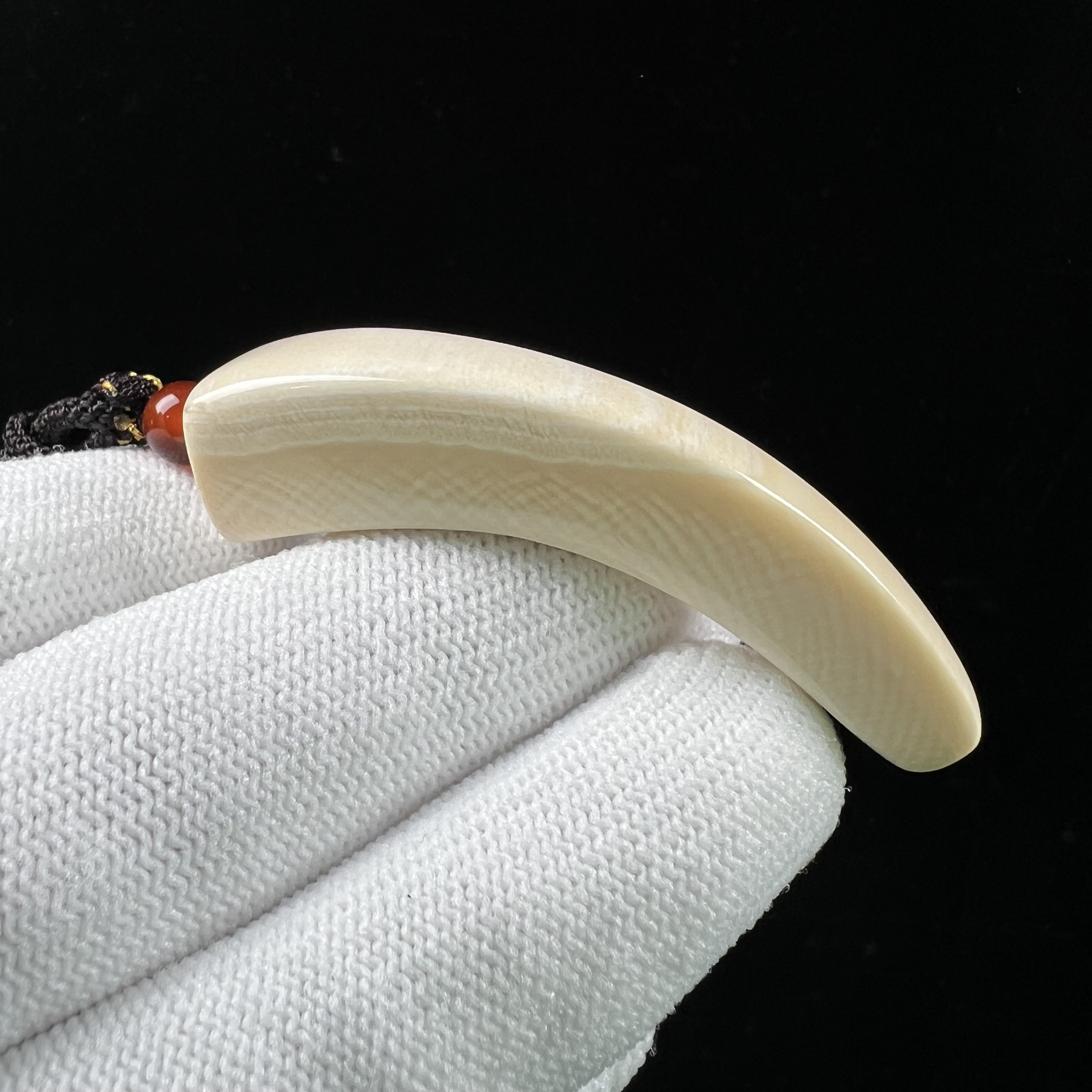 D3766天然猛犸牙 牙尖 55mm支持鉴定 假一罚四