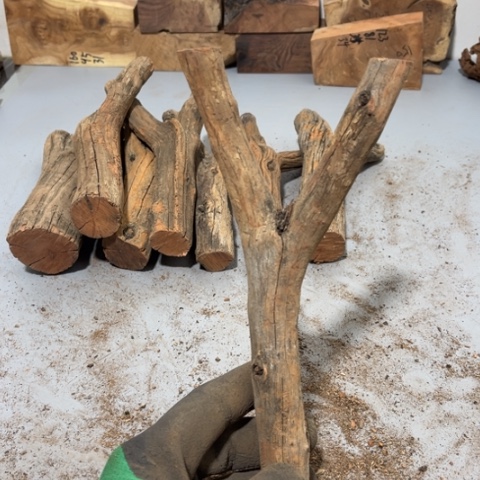 大果紫檀（缅甸花梨）漓**影