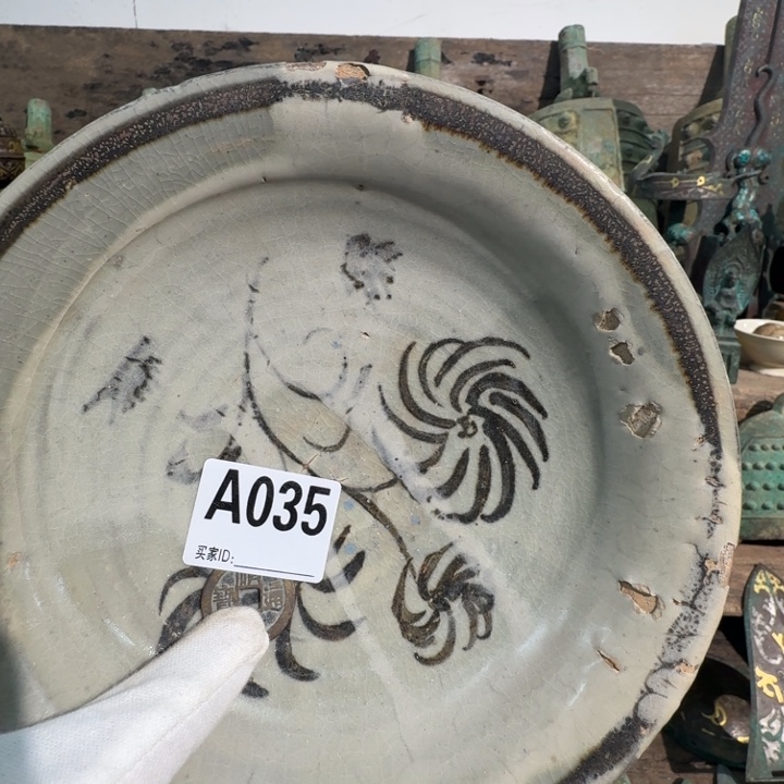 茶宠88888888888888888