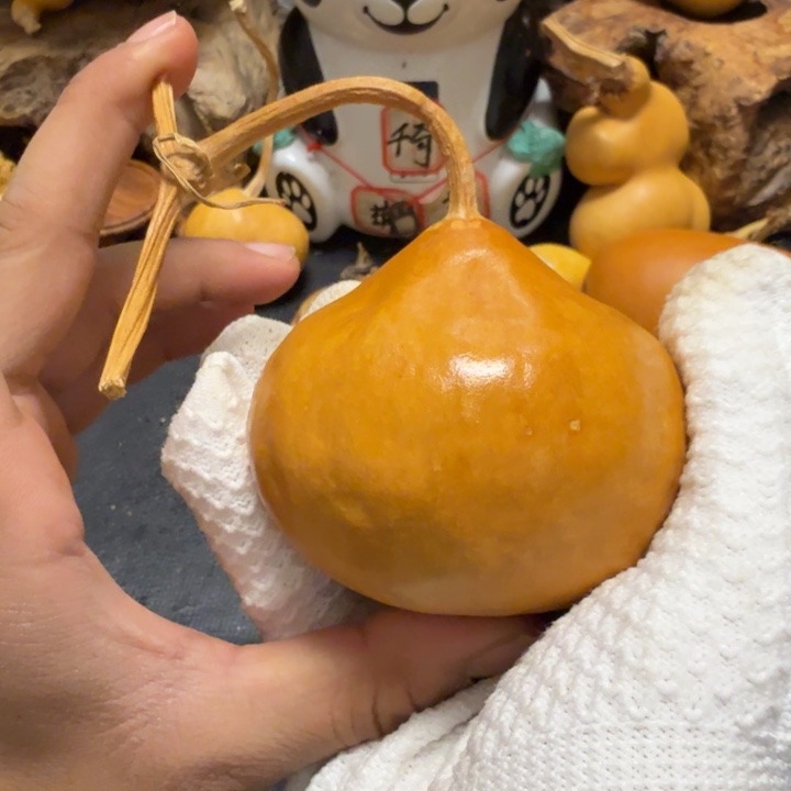 什***么坑766666666666666