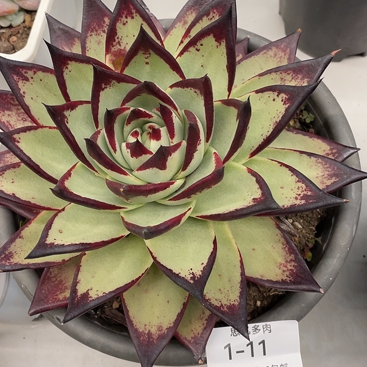 汪***溯汪溯的一句话说的太好了