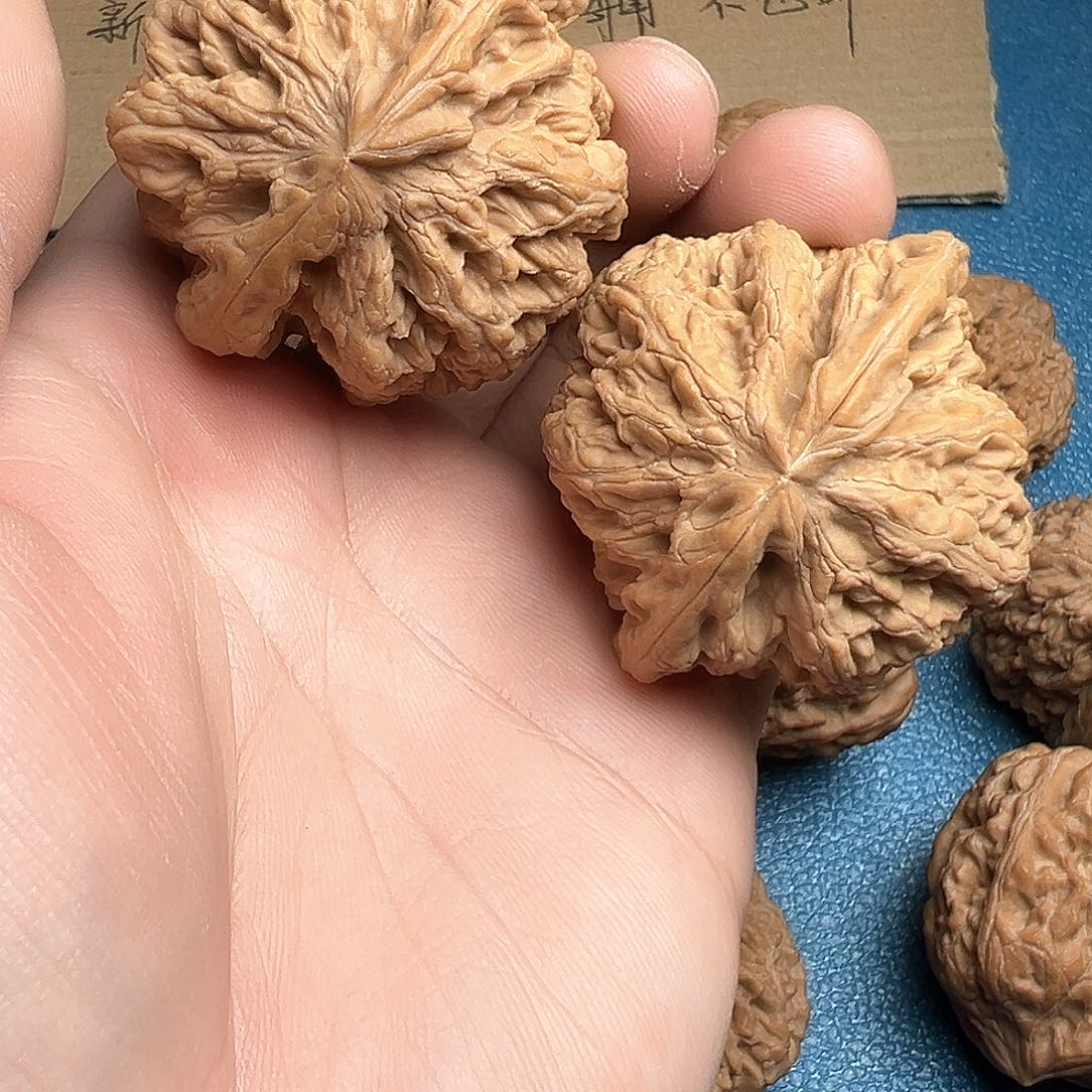 文玩核桃把件46大粗筋天残脚