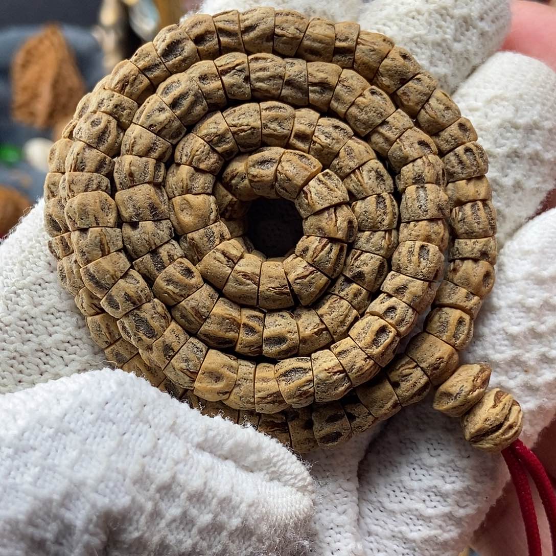 吊坠柏香籽/百香籽