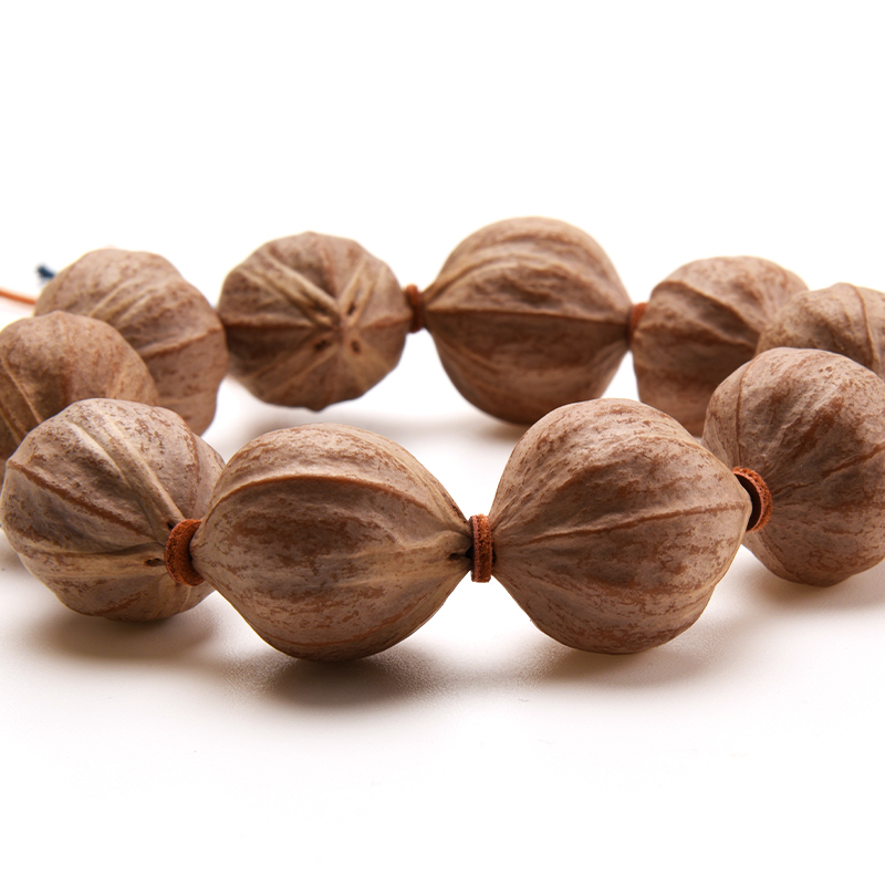 【寻梦本草】红皮蒜头正圆四花橄榄核爆红料油性好2.3-2.4