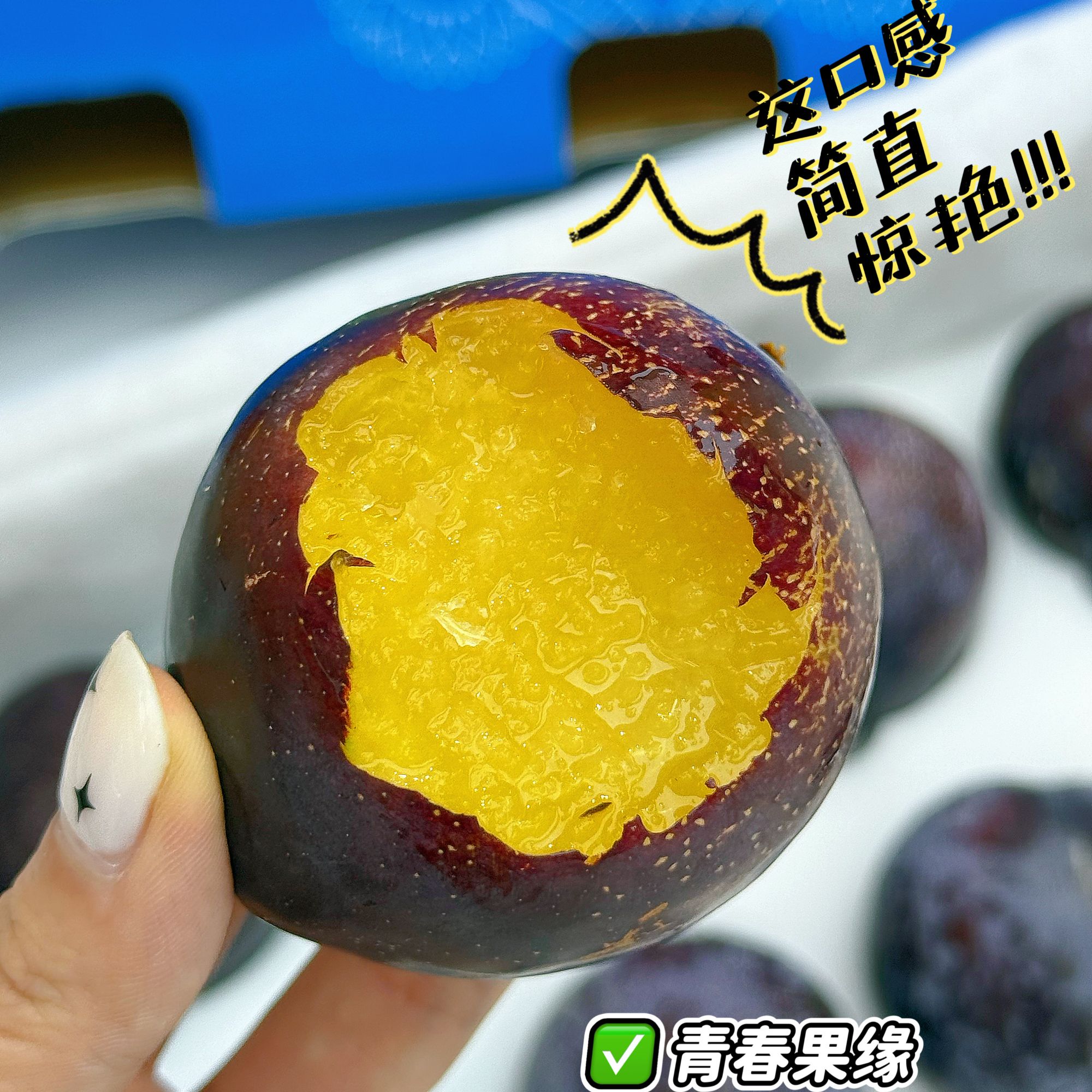 【新品上新】黑宝石恐龙蛋1箱