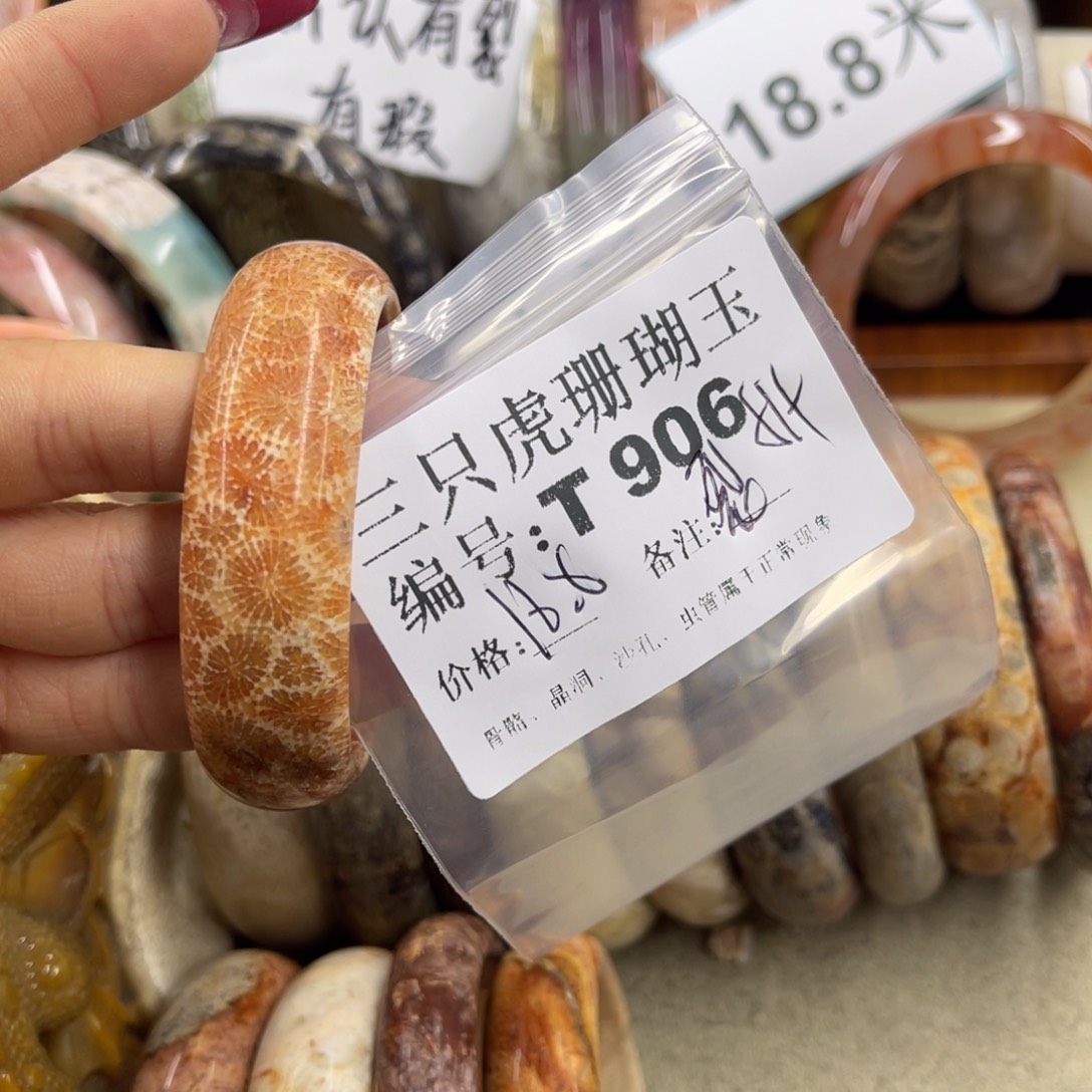 捕***鱼硅化珊瑚（珊瑚玉）未镶嵌h