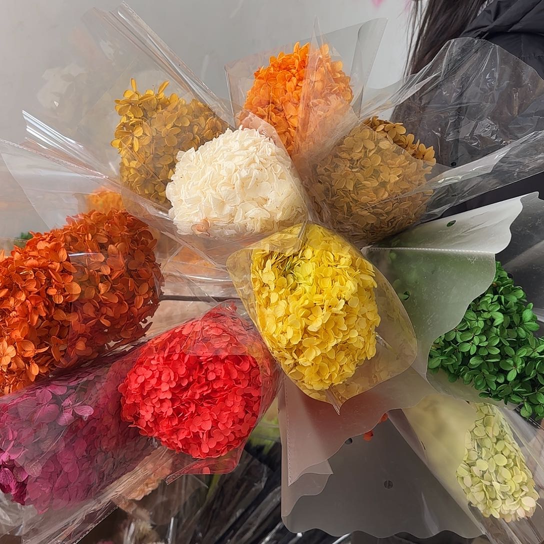 A35号混色绣球1把