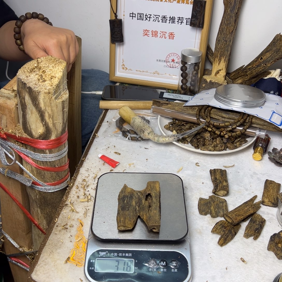 线香奇楠虫漏香31克