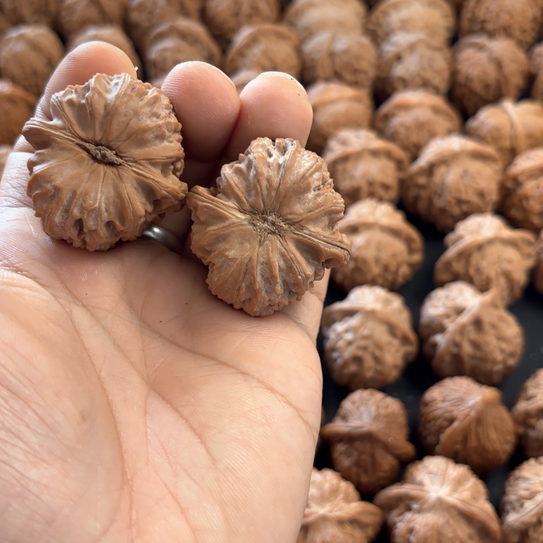 文玩核桃把件?***旧白狮子