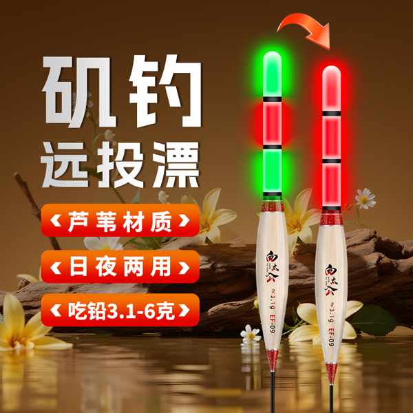 向太公远投矶钓漂超醒目加粗日夜两用夜光漂芦苇路滑浮漂海钓鱼漂