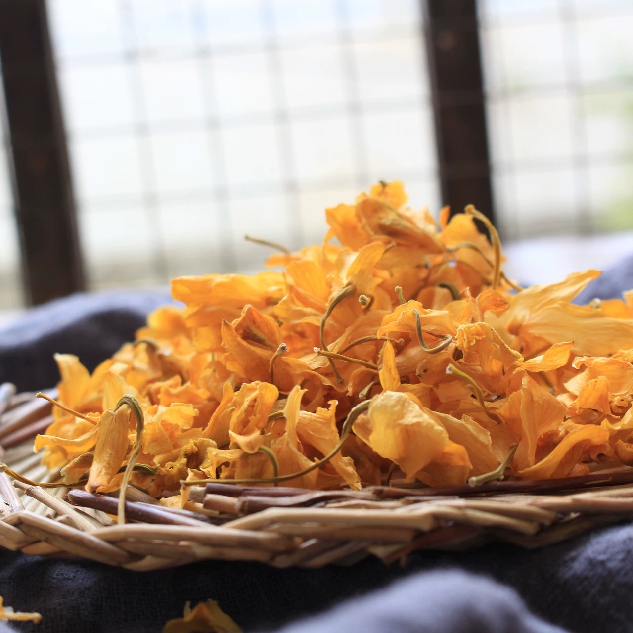  [春天专属]鼓槌石斛花