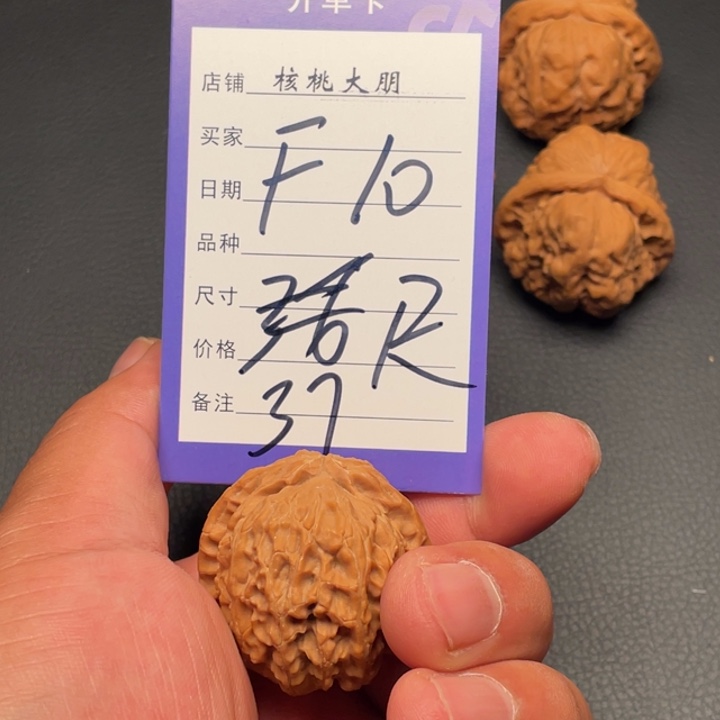 核桃白狮子37尺寸    
