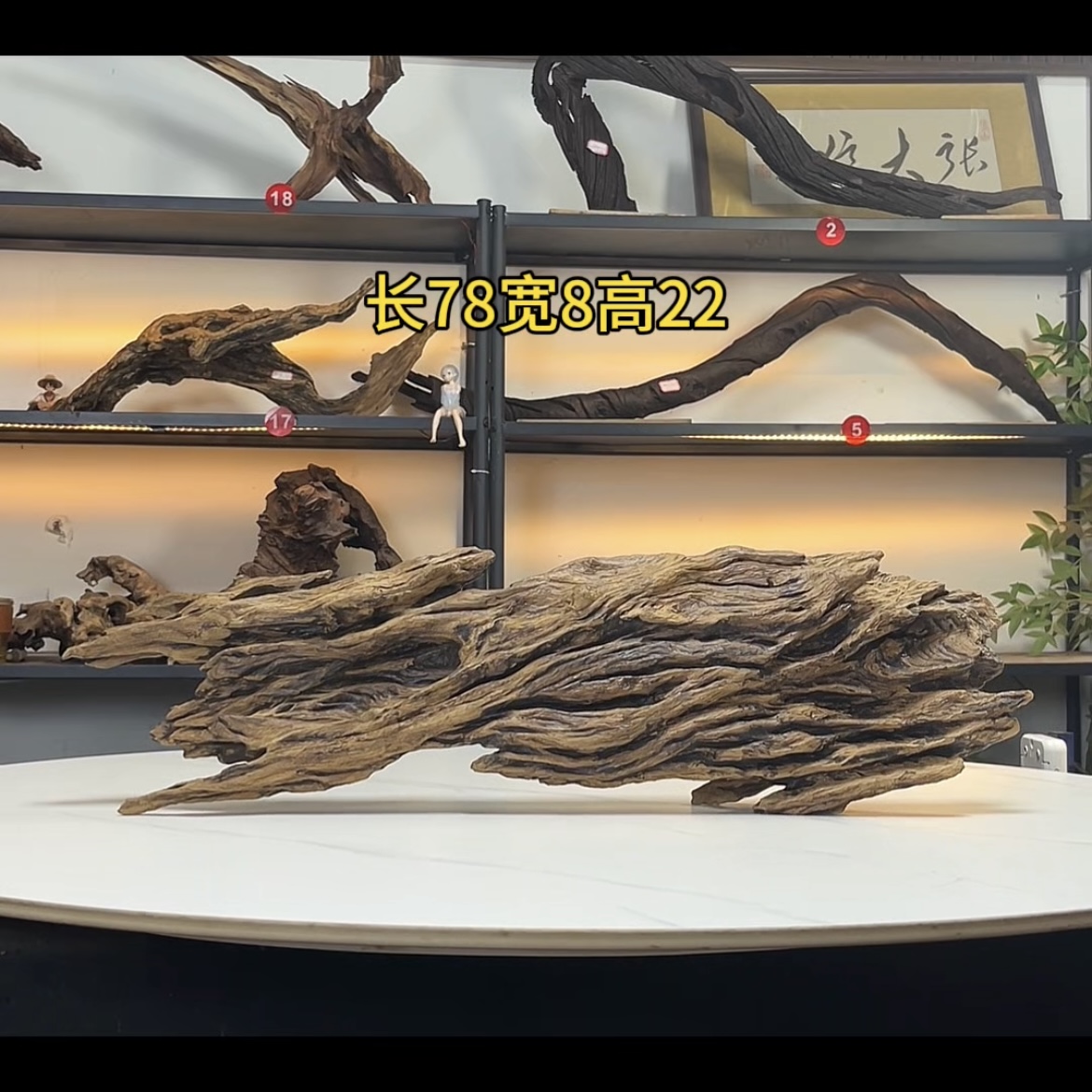 张大狼造景沉木长78cm爆裂纹树皮 溪流鱼缸造景 鬼柳木秒沉