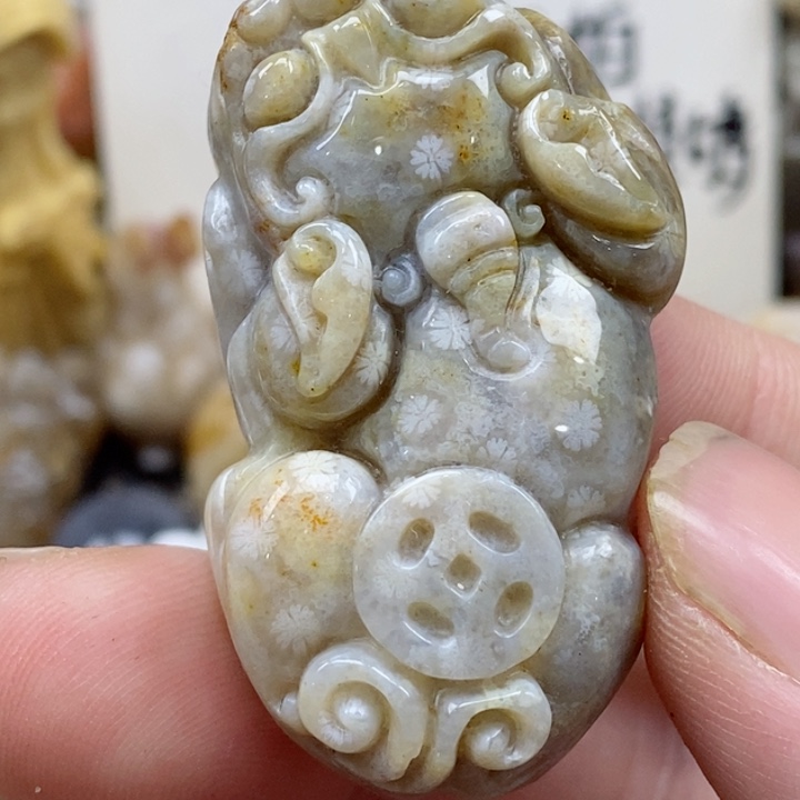 颈饰未镶嵌硅化珊瑚（珊瑚玉）