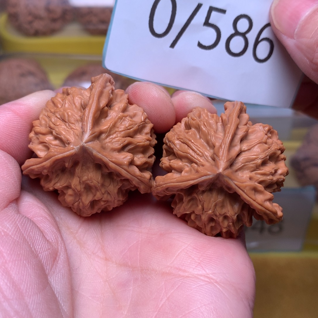 文玩核桃把件盘山正本36