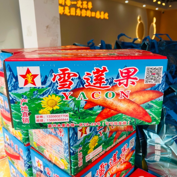 【果小二福利】雪莲果一箱（毛重5斤）