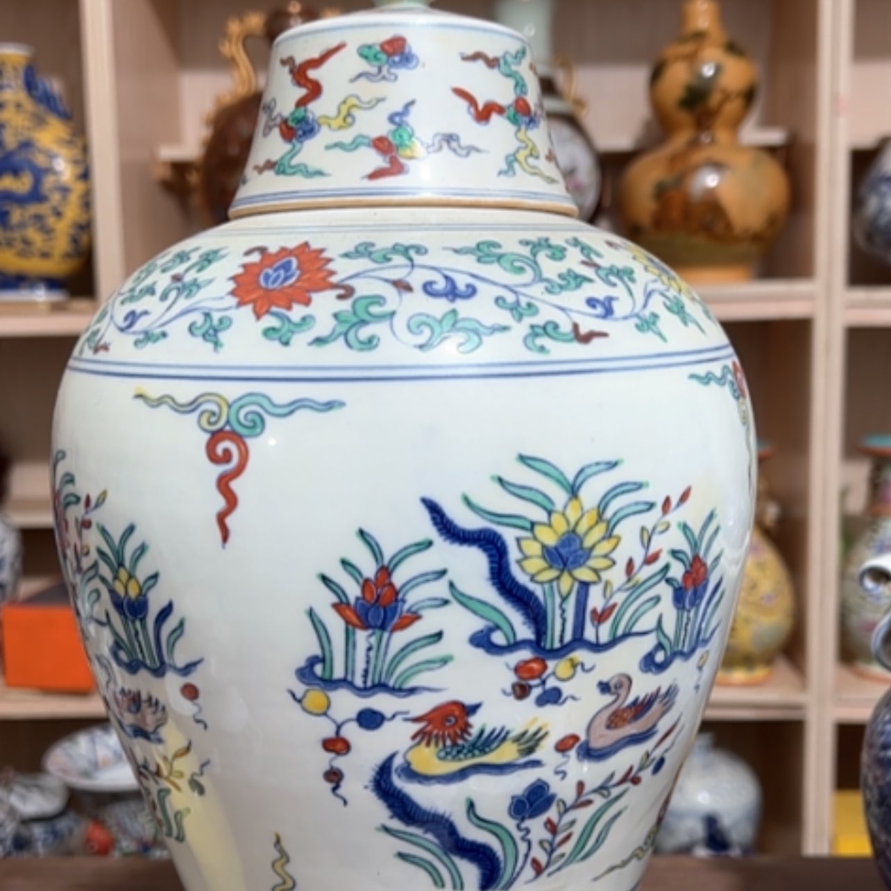 【闪购商品】点点滴滴点点滴滴