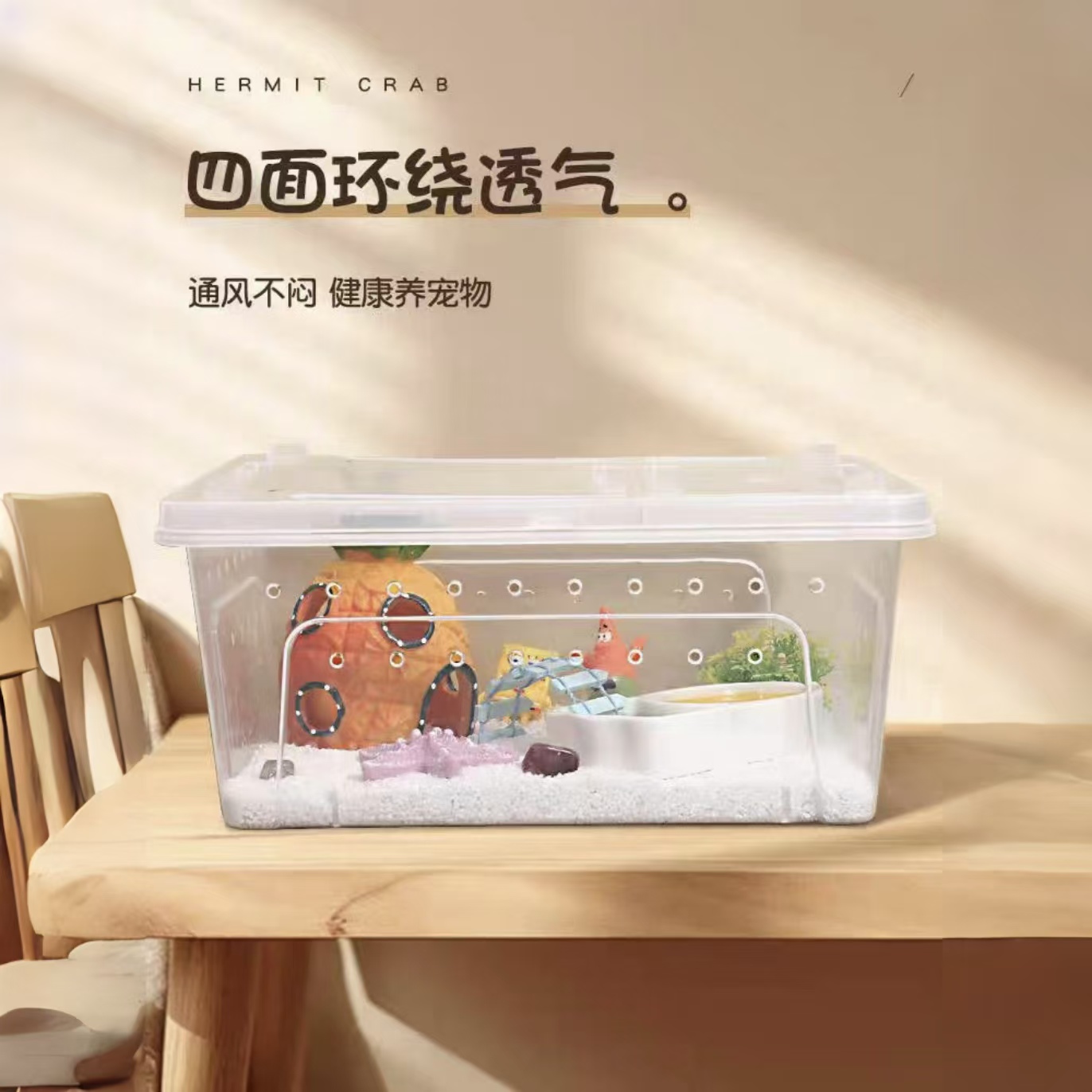 寄居蟹新手饲养套餐可爱饲养箱盒饲养用品套装儿童桌面有趣礼物