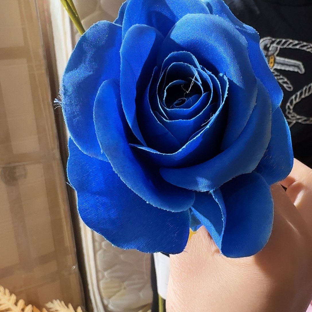 三头宝蓝色玫瑰20支装