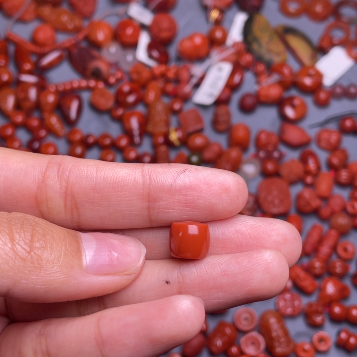 【闪购商品】南红玛瑙未镶嵌川料南红S****r9.5