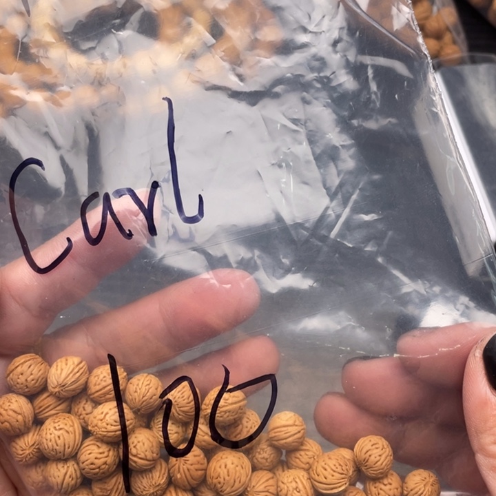 私人定制小桃核20元打孔不退不换