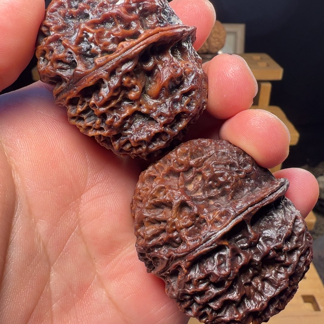 文玩核桃吊坠苍山神鹰47mm